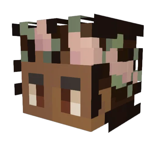Hakunaphase Minecraft avatar head, 3D render