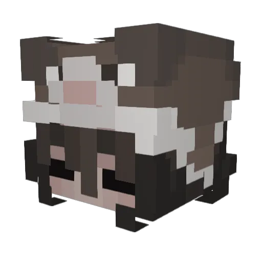 HalNoHal Minecraft avatar head, 3D render