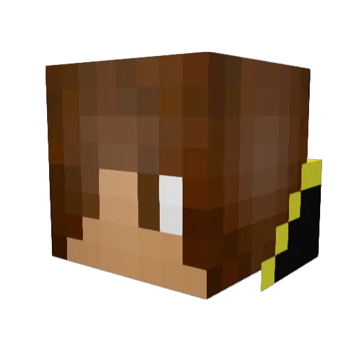 HalPL Minecraft avatar head, 3D render