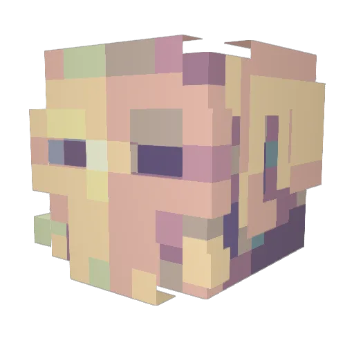 Hal_Incandenza Minecraft avatar head, 3D render
