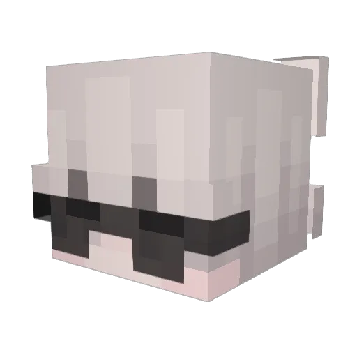 Hal_Sakuragi Minecraft avatar head, 3D render