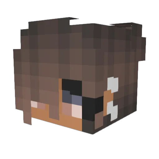 Hala609 Minecraft avatar head, 3D render