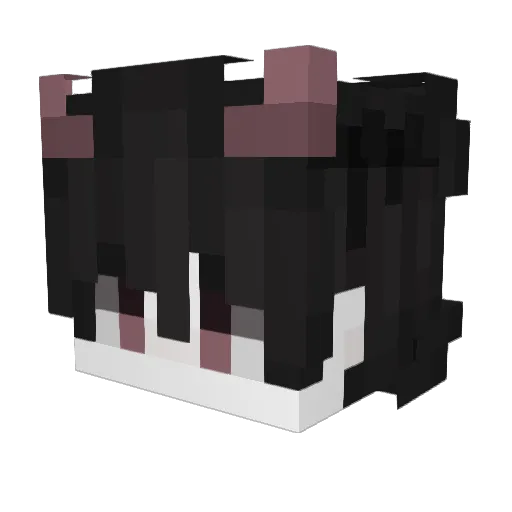 HalbZeitGOD Minecraft avatar head, 3D render