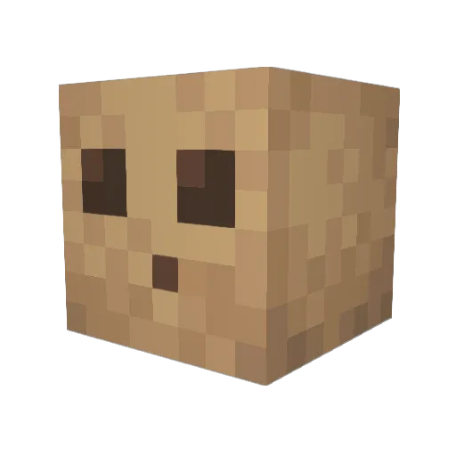 Haldern0 Minecraft avatar head, 3D render