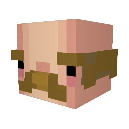 HaleParp Minecraft avatar head, 3D render