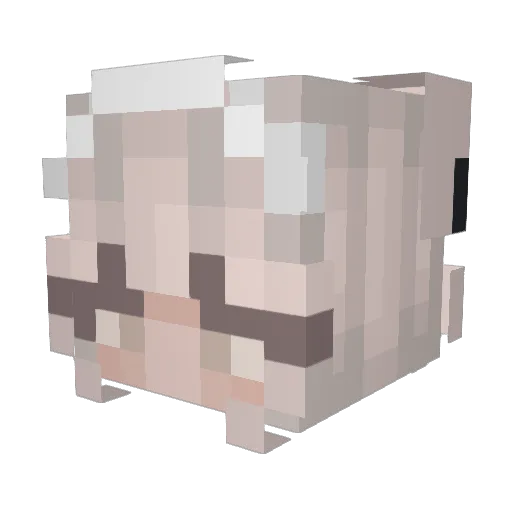 Halenos Minecraft avatar head, 3D render