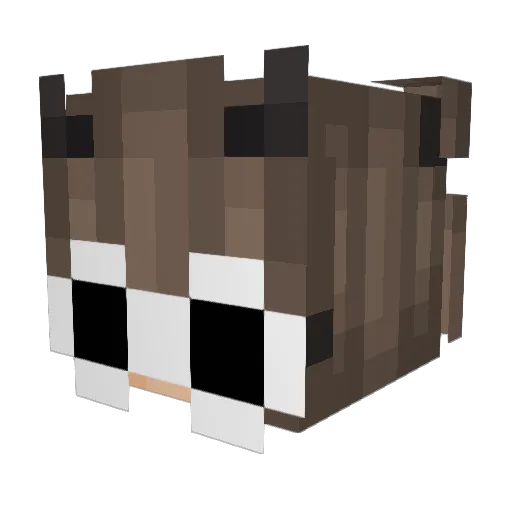HaleyElise23 Minecraft avatar head, 3D render