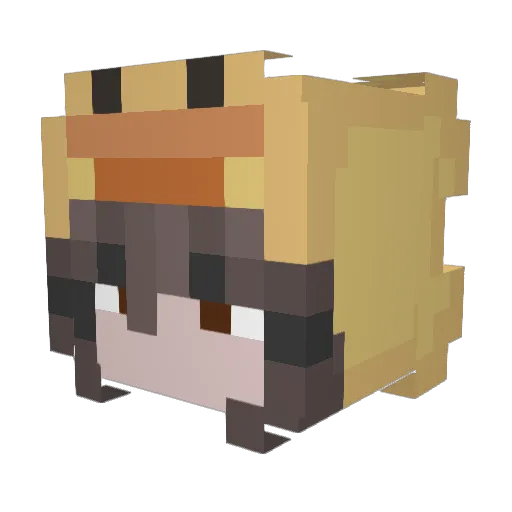 HaleyRunyon Minecraft avatar head, 3D render