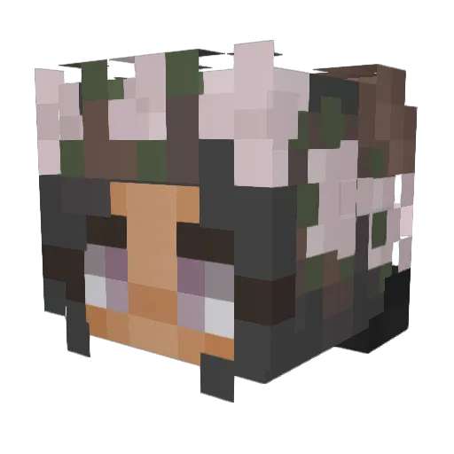 Haley_Bug13 Minecraft avatar head, 3D render