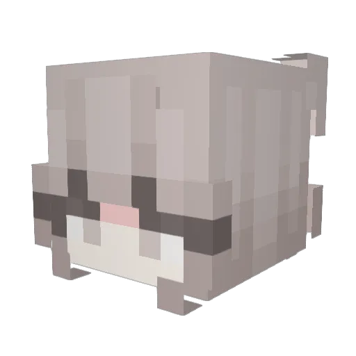 Halezz66 Minecraft avatar head, 3D render
