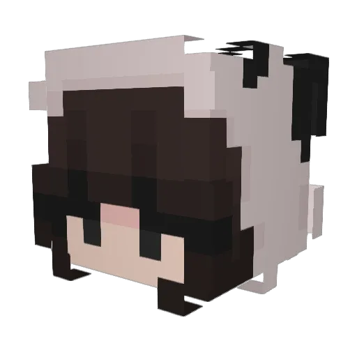 HalfHP Minecraft avatar head, 3D render