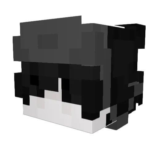 HalfStony Minecraft avatar head, 3D render