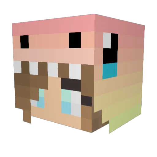 Halfacookie224 Minecraft avatar head, 3D render
