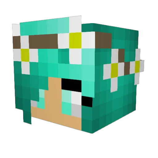 Halfpint70 Minecraft avatar head, 3D render
