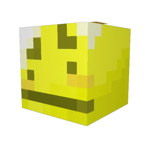 Halfwits Minecraft avatar head, 3D render