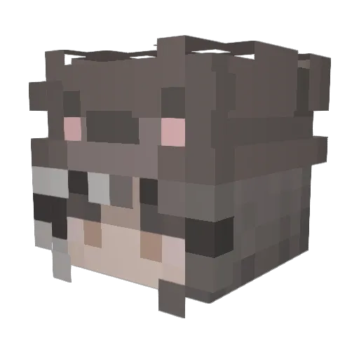 HallOfAutism Minecraft avatar head, 3D render