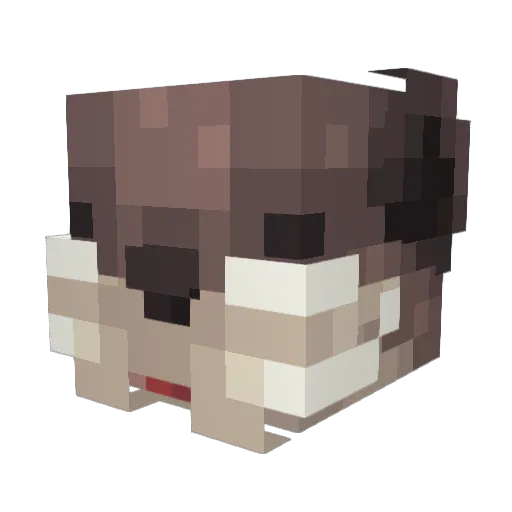 Hall_ca Minecraft avatar head, 3D render