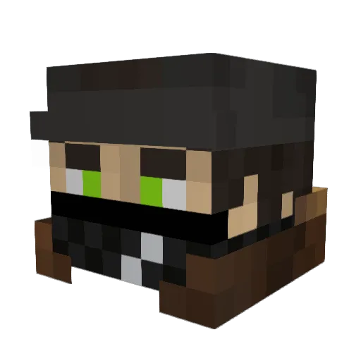 Hallis4452 Minecraft avatar head, 3D render