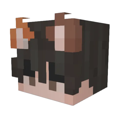 Halllyx Minecraft avatar head, 3D render