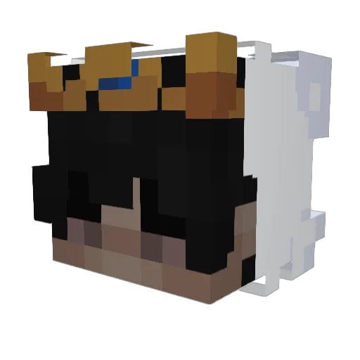Hallorpeter Minecraft avatar head, 3D render