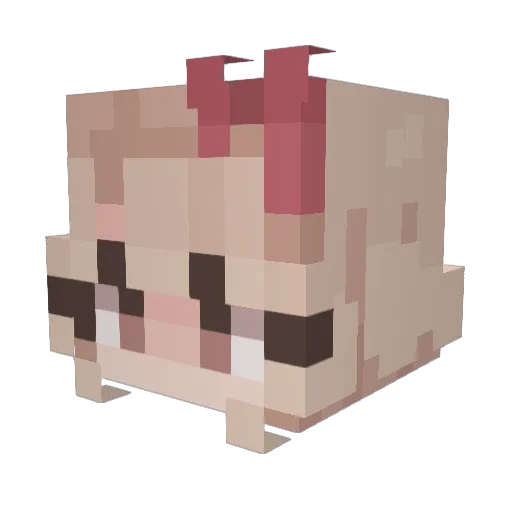 HallowedSauce30 Minecraft avatar head, 3D render