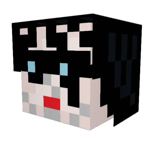 Halo911MC Minecraft avatar head, 3D render