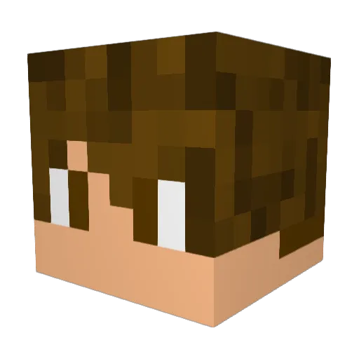 HaloBoy_ Minecraft avatar head, 3D render