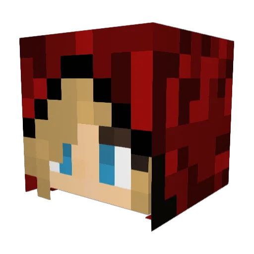 Haloder54 Minecraft avatar head, 3D render