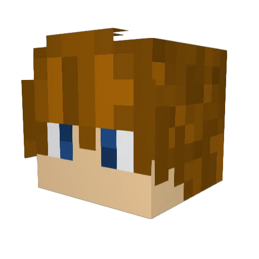 Haloman462 Minecraft avatar head, 3D render