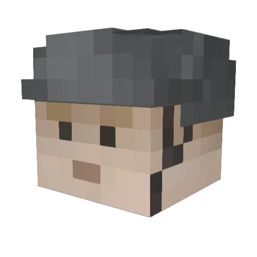 Halopro895 Minecraft avatar head, 3D render
