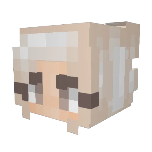 Halou91 Minecraft avatar head, 3D render