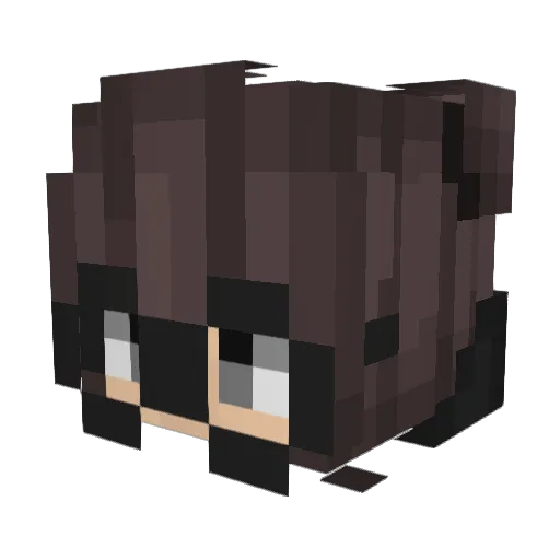 HaltDeinMaul_ Minecraft avatar head, 3D render
