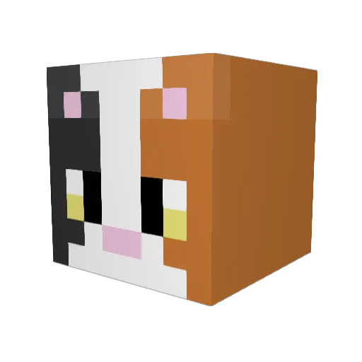 Halva23 Minecraft avatar head, 3D render