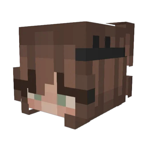 Halvanees Minecraft avatar head, 3D render