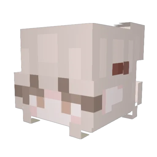 Halvetica Minecraft avatar head, 3D render