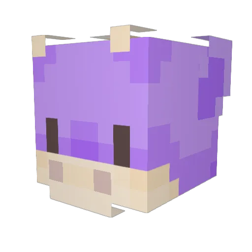 HalyPiPI Minecraft avatar head, 3D render
