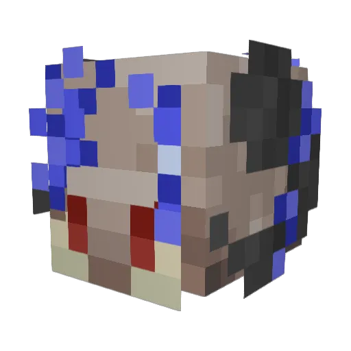 HamJam_ Minecraft avatar head, 3D render