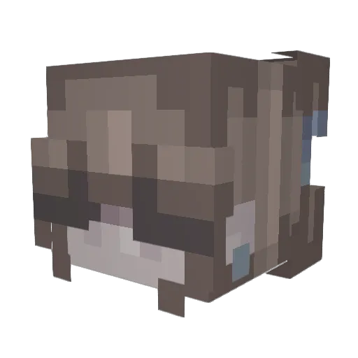 HamOnBri Minecraft avatar head, 3D render