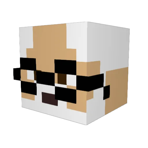 HamShank54 Minecraft avatar head, 3D render