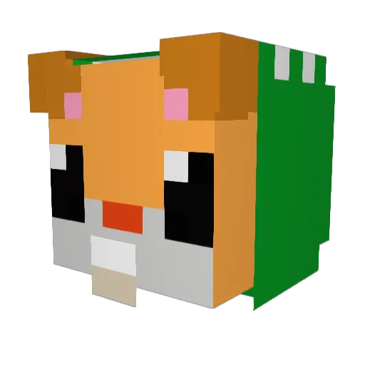 HamSnacc Minecraft avatar head, 3D render