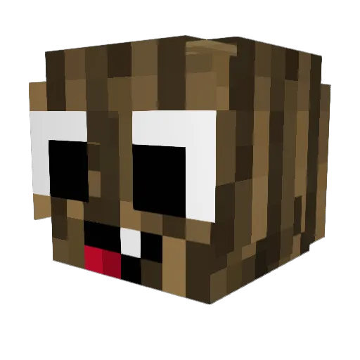 Ham_Der_Paul Minecraft avatar head, 3D render