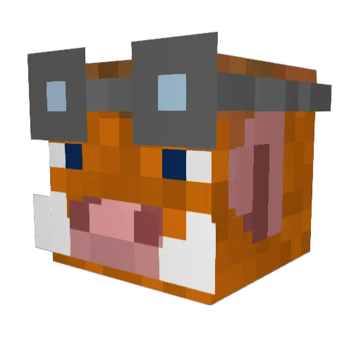 Hambone21 Minecraft avatar head, 3D render