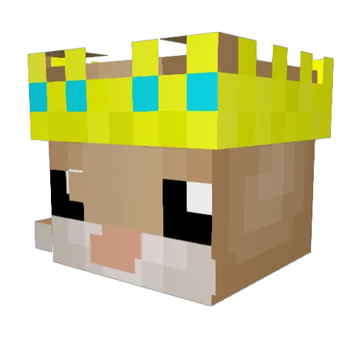 HamburgerHamster Minecraft avatar head, 3D render