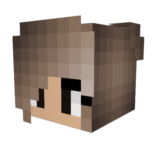 HamburgerNugget Minecraft avatar head, 3D render