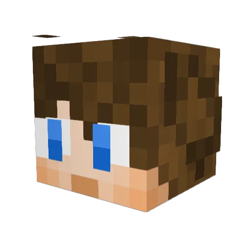 Hamed1123 Minecraft avatar head, 3D render