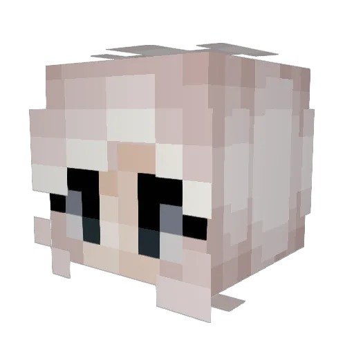 Hameira Minecraft avatar head, 3D render