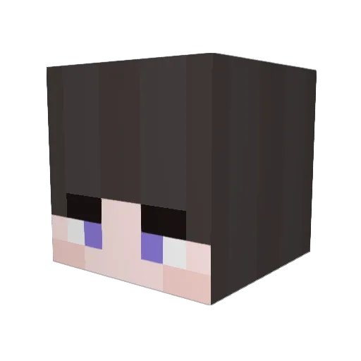Hamg0101 Minecraft avatar head, 3D render