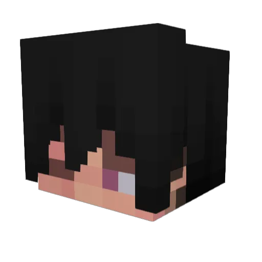 Hamiboom Minecraft avatar head, 3D render