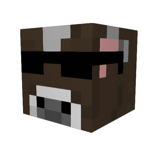 Hamiim22 Minecraft avatar head, 3D render