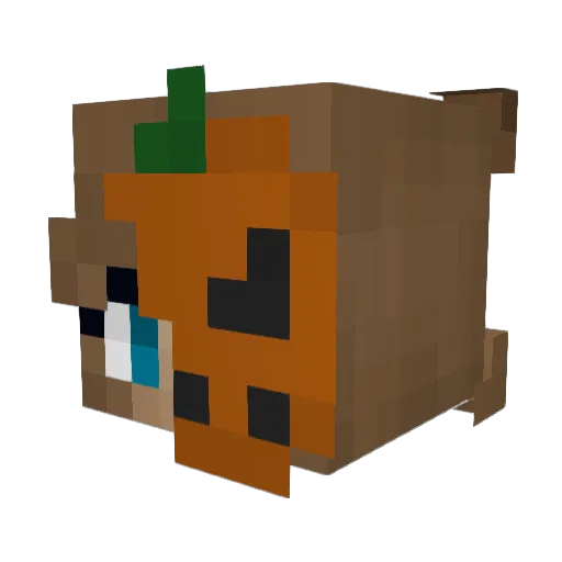 HamilCat_ Minecraft avatar head, 3D render